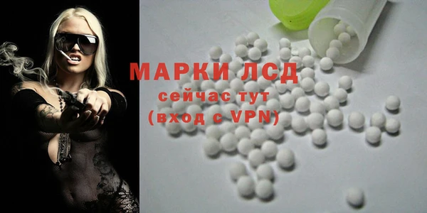 ГАЛЛЮЦИНОГЕННЫЕ ГРИБЫ Протвино