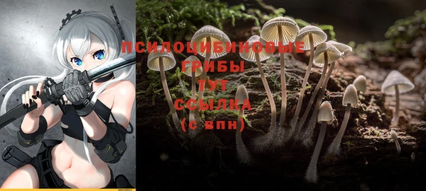 spice Приозерск